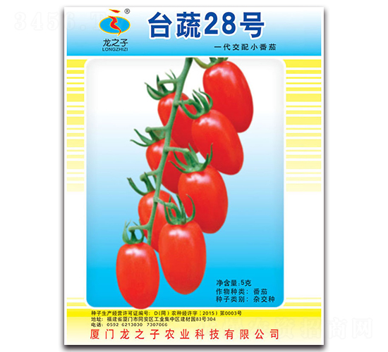 �_��28-С���ѷN��-��֮��