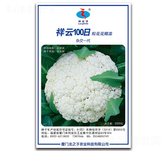 ����100��-�ɻ��˷N��-��֮��