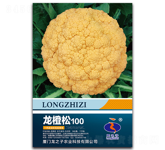 ������100-�ɻ��˷N��-��֮��