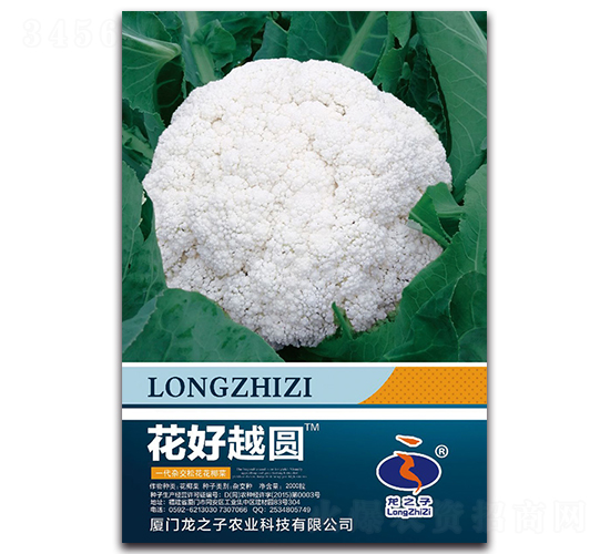 ����Խ�A-�ɻ��˷N��-��֮��