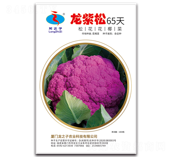 ������65��-�ɻ��˷N��-��֮��