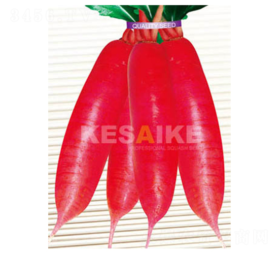 ��t��-�}���N��-�wِ�w