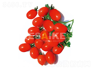 ʥŮ������-���ѷN��-�wِ�w