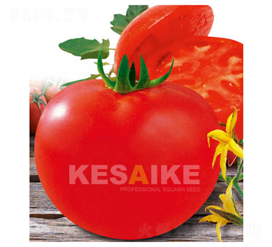 ِ��˹-���ѷN��-�wِ�w