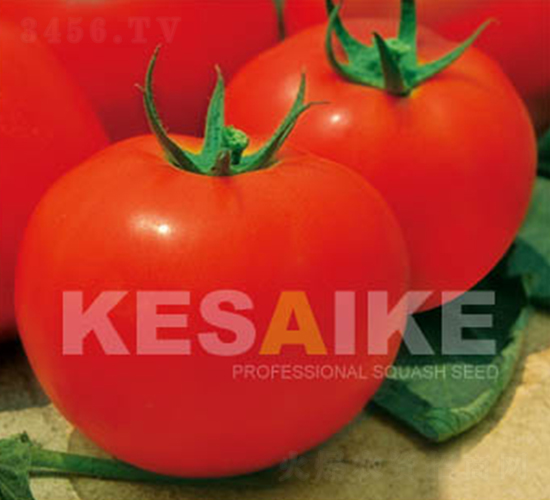 ���غ�-���ѷN��-�wِ�w