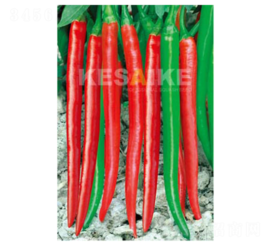 �����L�S-�����N��-�wِ�w