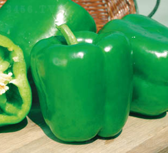 ِ����̖(h��o)-�𽷷N��-�wِ�w