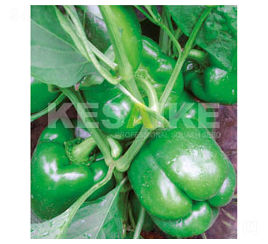 ��׿-�𽷷N��-�wِ�w