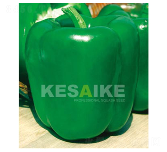 ���_-�𽷷N��-�wِ�w