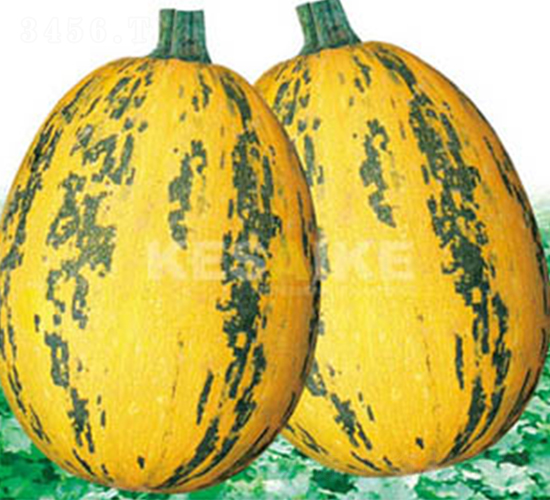 �r(n��ng)�l(f��)һ̖(h��o)-�����J�N��-�wِ�w