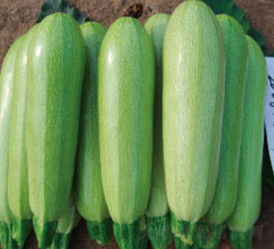 ���-�����J�N��-�wِ�w