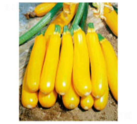 �S�㽶F1-�����J�N��-�wِ�w