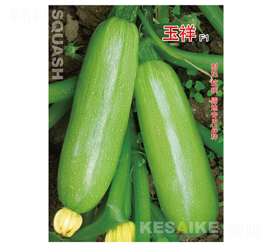 ����-�����J�N��-�wِ�w