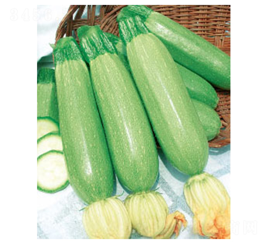 �P����̖-�����J�N��-�wِ�w