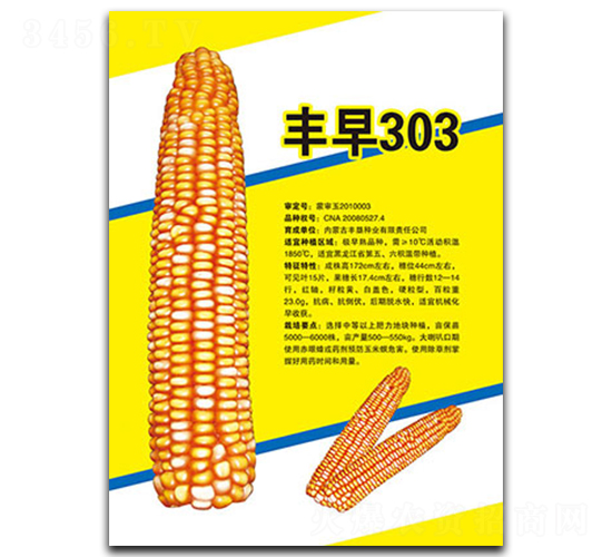 �S��303-���׷N��-�S���N�I(y��)