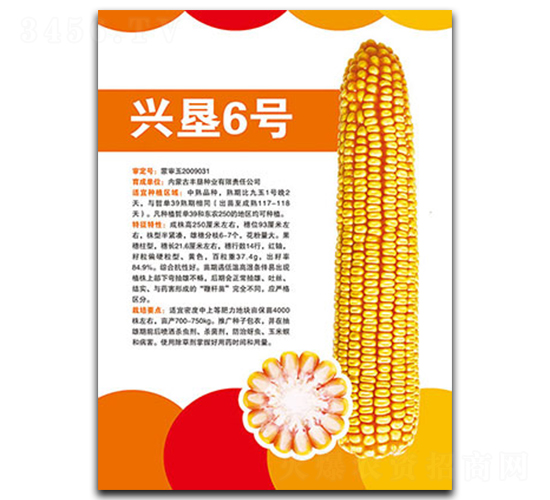 �d��6̖-���׷N��-�S���N�I(y��)