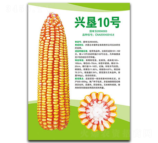 �d��10̖-���׷N��-�S���N�I(y��)