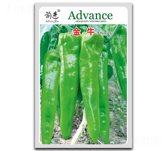 ��ţ-�⽷�N��-ǰ�M(j��n)