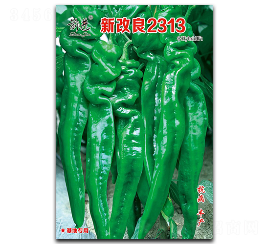 �¸���2313-�ݽz���N��-ǰ�M