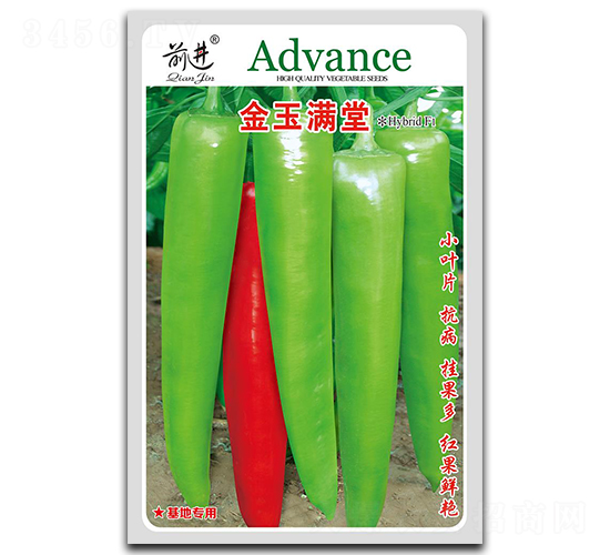 ����M��-�ݽz���N��-ǰ�M(j��n)