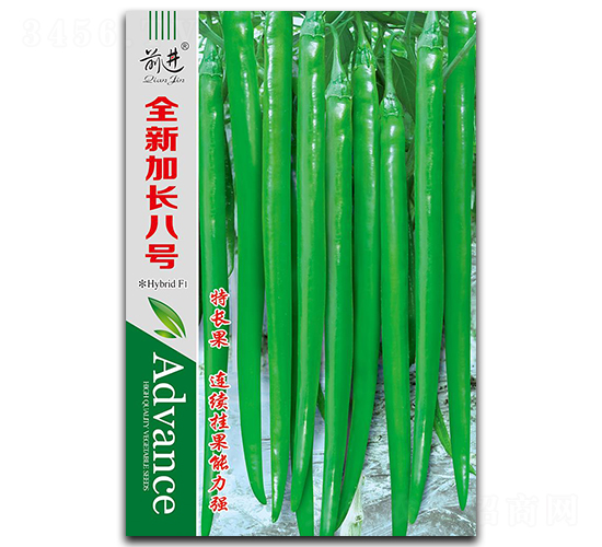 ȫ�¼��L��̖(h��o)-�����N��-ǰ�M(j��n)