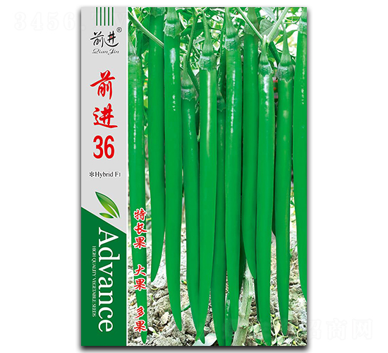 ǰ�M(j��n)36-�����N��-ǰ�M(j��n)