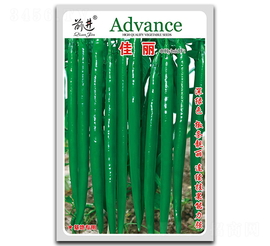 ����-�����N��-ǰ�M