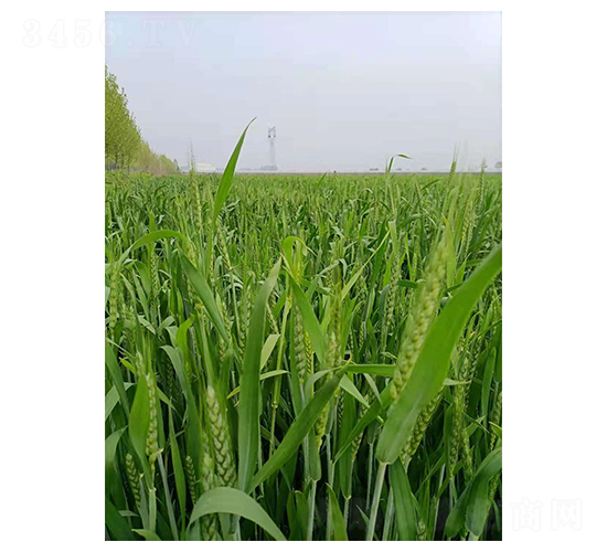 ����669-С���N��-��(chu��ng)���N�I(y��)