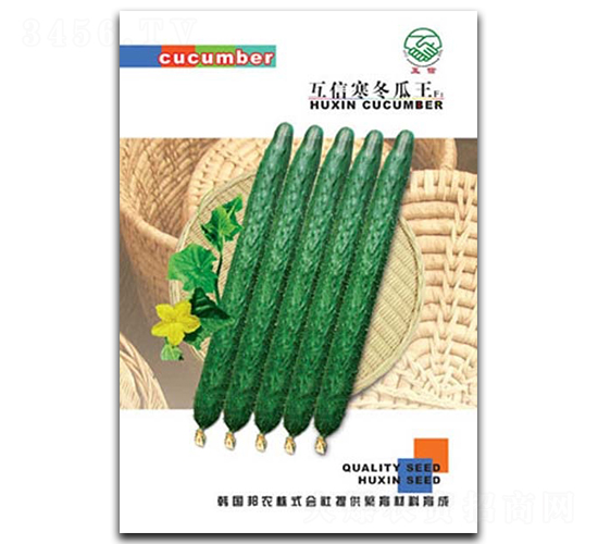 ��������-�S�ϷN��-�|���r�I(y��)