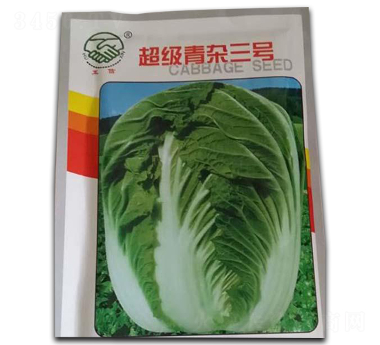 ����(j��)���s��̖(h��o)-�ײ˷N��-�|���r(n��ng)�I(y��)