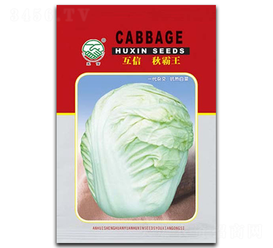 ���������-�ײ˷N��-�|���r(n��ng)�I(y��)