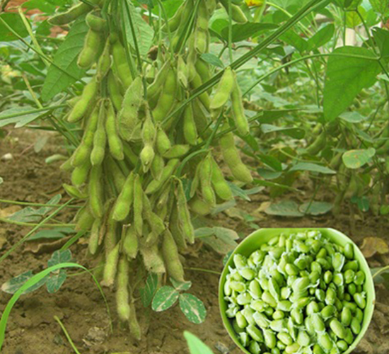 ���ň@��60-ë���N��-�|���r(n��ng)�I(y��)