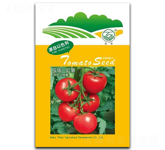 �t��-���ѷN��-�|���r(n��ng)�I(y��)