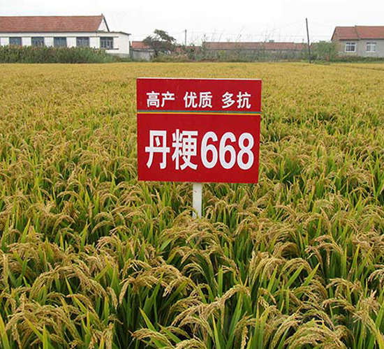 ����668̖(h��o)-ˮ���N��-����N�I(y��)