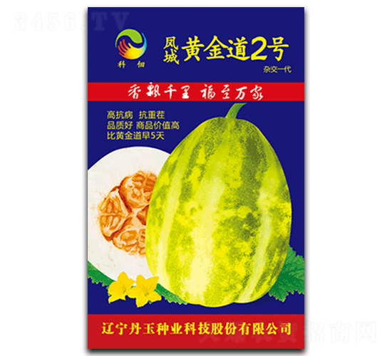 �P���S���2̖(h��o)-��ϷN��-����N�I(y��)