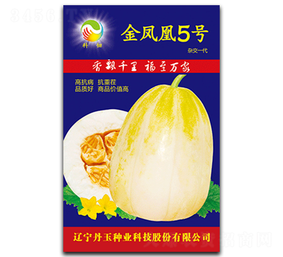 ���P��5̖(h��o)-��ϷN��-����N�I(y��)