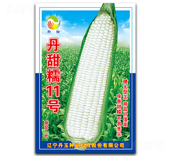 ����Ŵ11̖-Ŵ���׷N��-����N�I(y��)