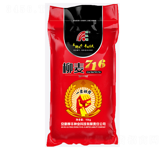 ����716���t����-С���N��-���S�N�I(y��)