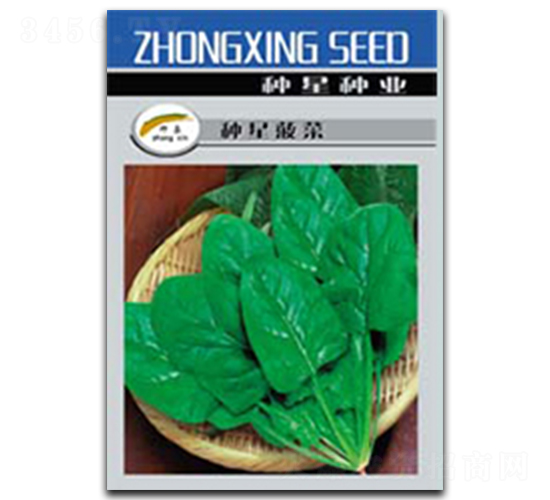 �N�ǲ���-���˷N��-�N�ǷN�I(y��)