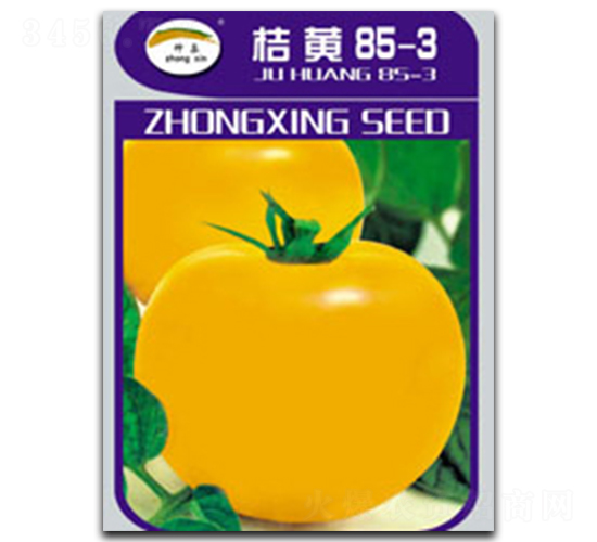 ���S85-3-���ѷN��-�N�ǷN�I(y��)