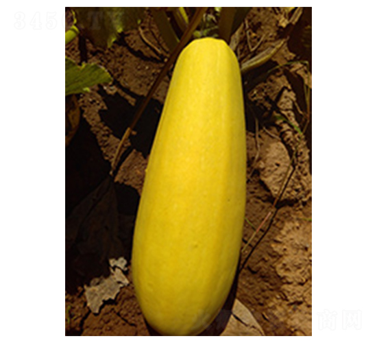 �N�������J1̖-�����J�N��-�N�ǷN�I(y��)