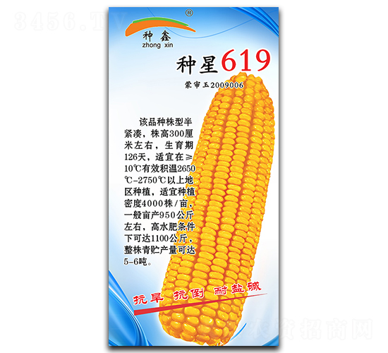 �N��619-���׷N��-�N�ǷN�I(y��)