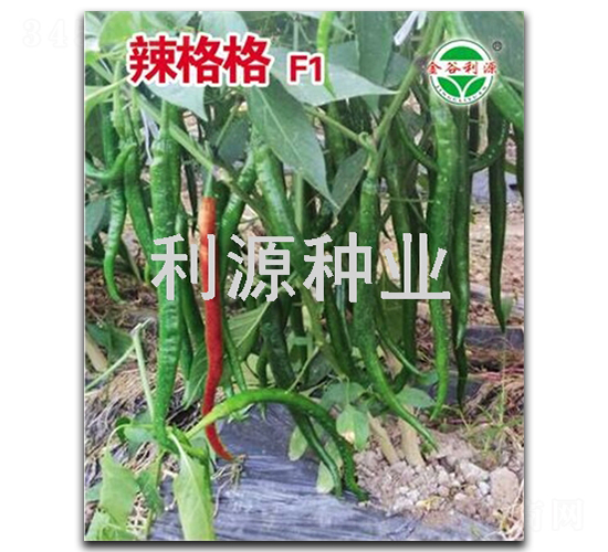 �����-�����N��-��Դ�N�I(y��)