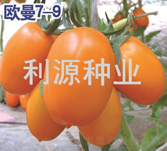 �W��7-9-���ѷN��-��Դ�N�I(y��)