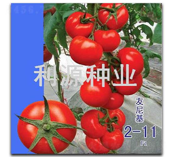 �����-���ѷN��-��Դ�N�I(y��)