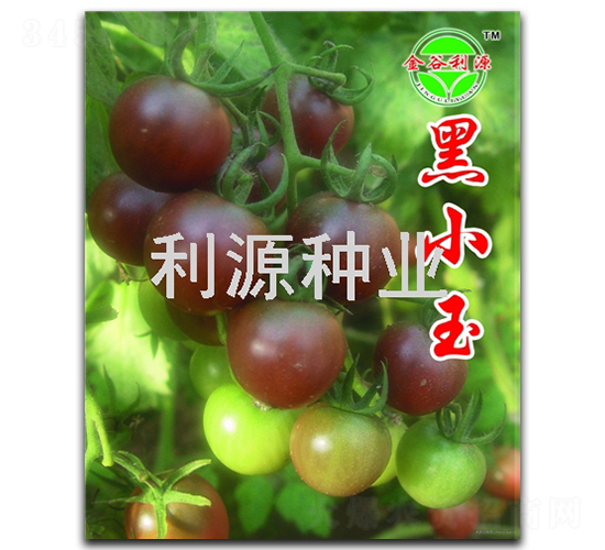 �\С��-���ҷ��ѷN��-��Դ�N�I(y��)