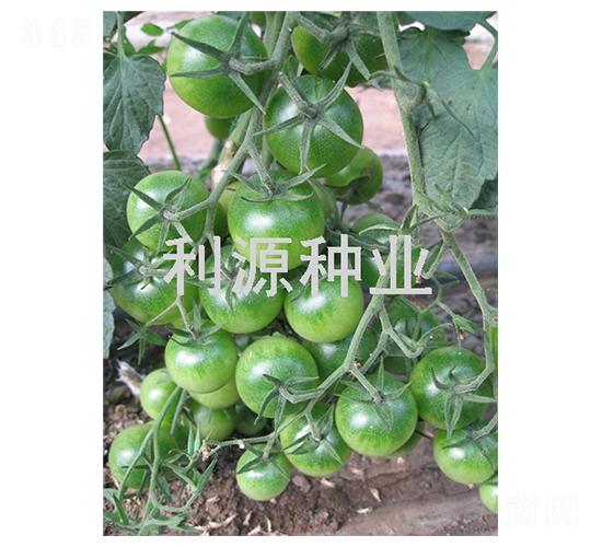 ����-���ҷ��ѷN��-��Դ�N�I(y��)