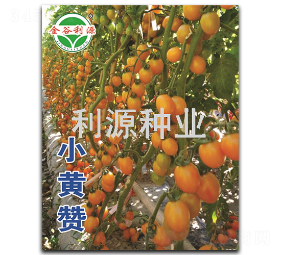 С�Sٝ-���ҷ��ѷN��-��Դ�N�I(y��)