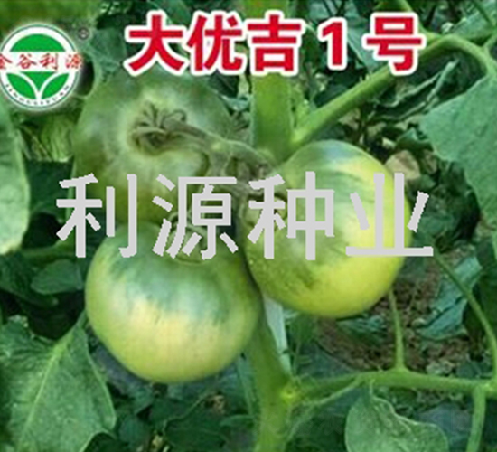 ��(y��u)��1̖(h��o)-���ѷN��-��Դ�N�I(y��)