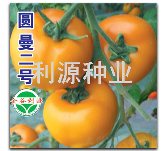 �A����̖-���ѷN��-��Դ�N�I(y��)